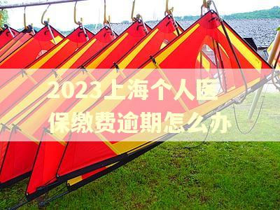 2023上海个人医保缴费逾期怎么办
