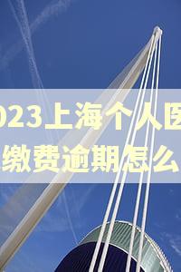 2023上海个人医保缴费逾期怎么办