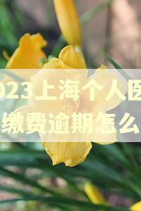 2023上海个人医保缴费逾期怎么办