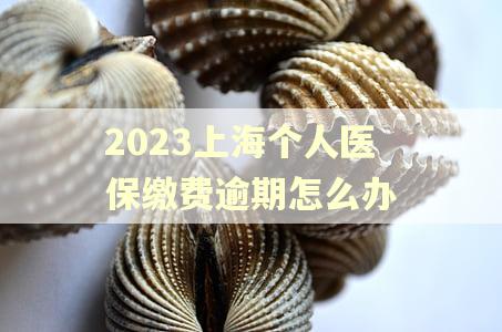 2023上海个人医保缴费逾期怎么办