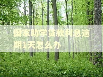 国家助学贷款利息逾期1天怎么办