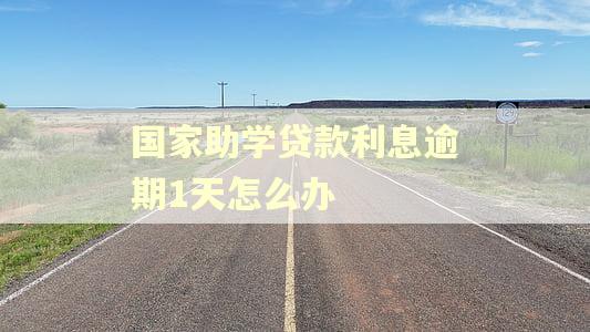 国家助学贷款利息逾期1天怎么办
