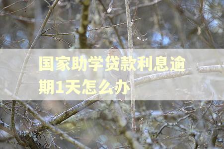 国家助学贷款利息逾期1天怎么办 国家助学贷款利息逾期1天怎么办