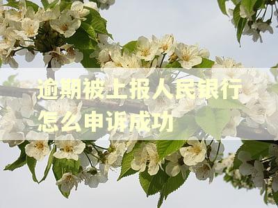 逾期被上报人民银行怎么申诉成功