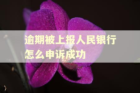 逾期被上报人民银行怎么申诉成功