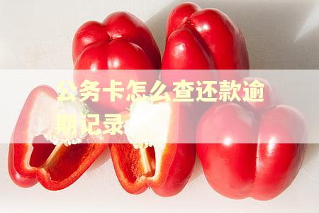 公务卡怎么查还款逾期记录