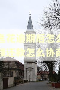 安逸花逾期后怎么要全额还款怎么协商