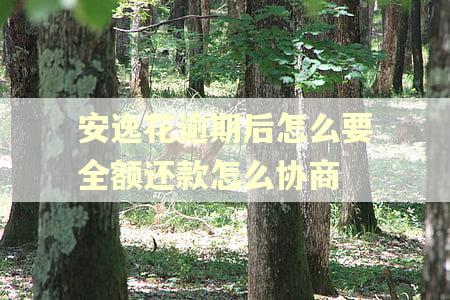 安逸花逾期后怎么要全额还款怎么协商