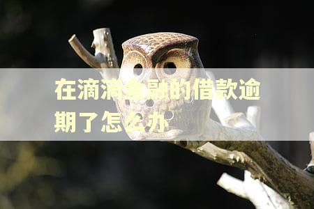 在滴滴金融的借款逾期了怎么办