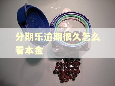分期乐逾期很久怎么看本金