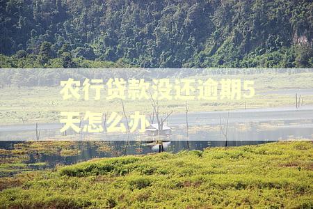 农行贷款没还逾期5天怎么办