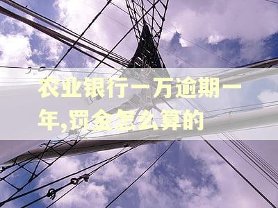 农业银行一万逾期一年,罚金怎么算的