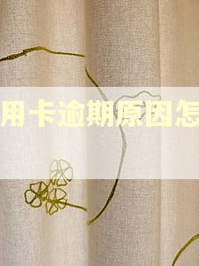 信用卡逾期原因怎么写