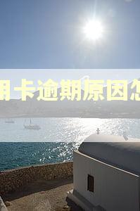 信用卡逾期原因怎么写
