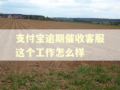 支付宝逾期催收客服这个工作怎么样