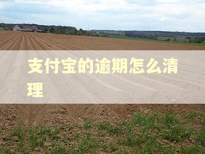 支付宝的逾期怎么清理