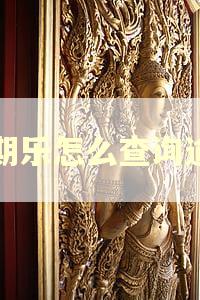 分期乐怎么查询逾期