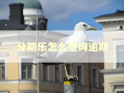 分期乐怎么查询逾期