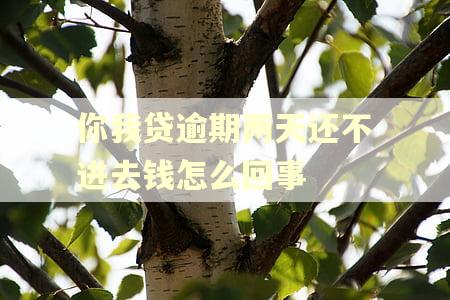 你我贷逾期两天还不进去钱怎么回事