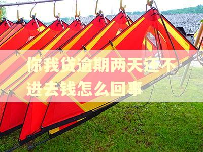 你我贷逾期两天还不进去钱怎么回事