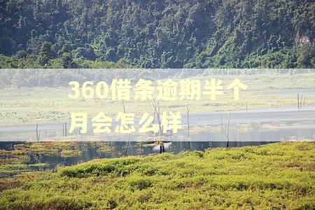 360借条逾期半个月会怎么样