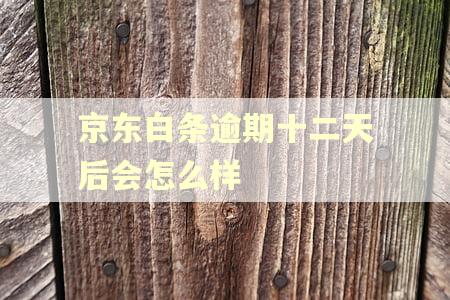京东白条逾期十二天后会怎么样