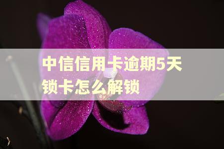 中信信用卡逾期5天锁卡怎么解锁