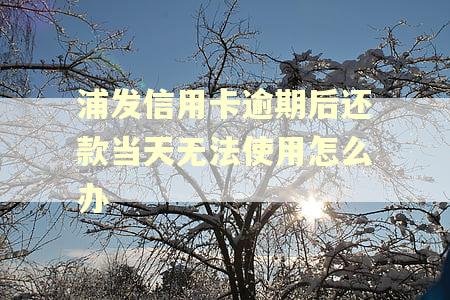 浦发信用卡逾期后还款当天无法使用怎么办