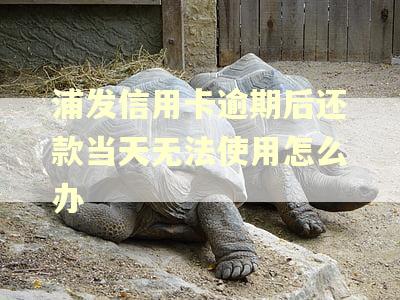 浦发信用卡逾期后还款当天无法使用怎么办