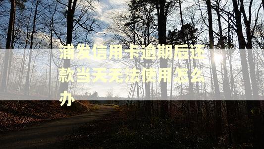 浦发信用卡逾期后还款当天无法使用怎么办