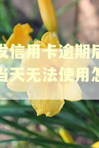 浦发信用卡逾期后还款当天无法使用怎么办