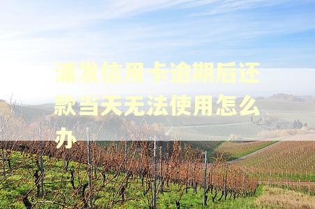 浦发信用卡逾期后还款当天无法使用怎么办 浦发信用卡逾期后还款当天无法使用怎么办