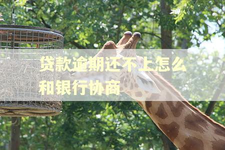 贷款逾期还不上怎么和银行协商