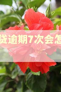 房贷逾期7次会怎么样