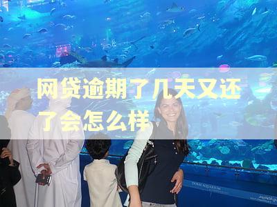 网贷逾期了几天又还了会怎么样
