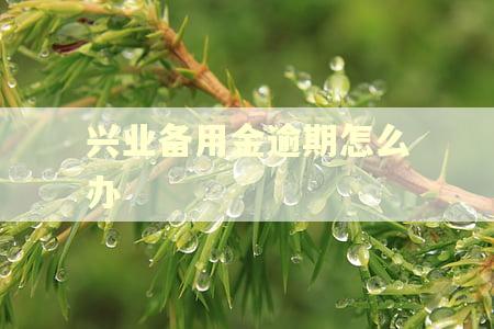 兴业备用金逾期怎么办 兴业备用金逾期怎么办