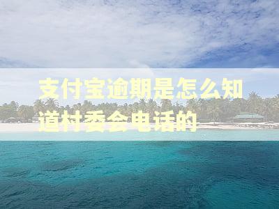 支付宝逾期是怎么知道村委会电话的