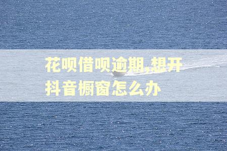花呗借呗逾期,想开抖音橱窗怎么办