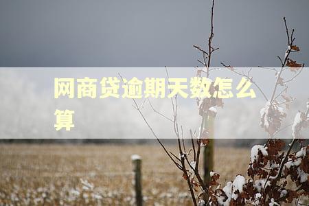 网商贷逾期天数怎么算