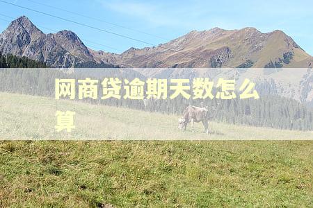 网商贷逾期天数怎么算 网商贷逾期天数怎么算