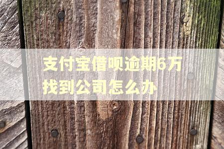 支付宝借呗逾期6万找到公司怎么办