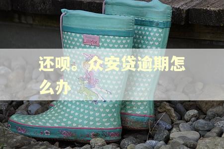 还呗。众安贷逾期怎么办