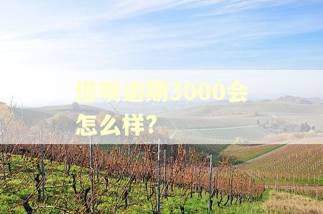 借呗逾期3000会怎么样?