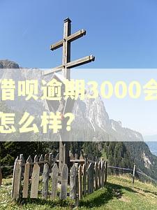 借呗逾期3000会怎么样? 借呗逾期3000会怎么样?