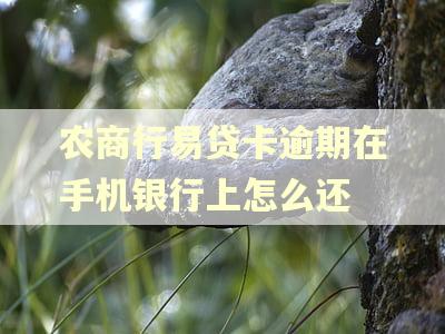 农商行易贷卡逾期在手机银行上怎么还