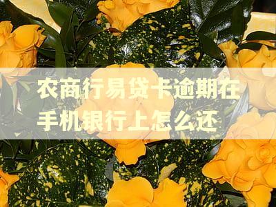农商行易贷卡逾期在手机银行上怎么还