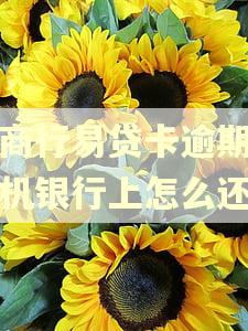 农商行易贷卡逾期在手机银行上怎么还 农商行易贷卡逾期在手机银行上怎么还