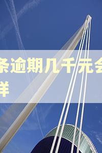 白条逾期几千元会怎么样