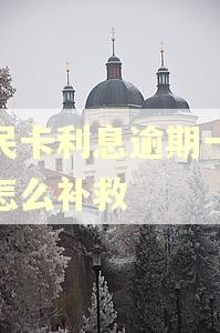 便民卡利息逾期一个月怎么补救