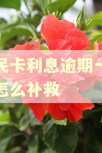 便民卡利息逾期一个月怎么补救 便民卡利息逾期一个月怎么补救